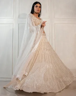 Darya Lehenga Set